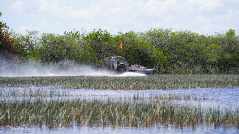 Eine Airboattour ist Pflicht bei einem Floridabesuch