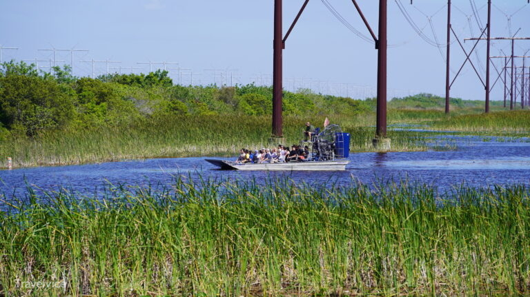 Airboat-Fahrt durch die Sumpflandschaft der Everglades.
