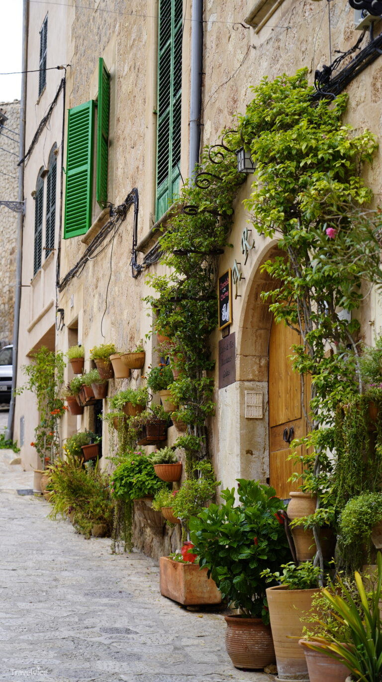 Schmale steinerne Gasse in Valldemossa mit vielen bepflanzten Töpfen